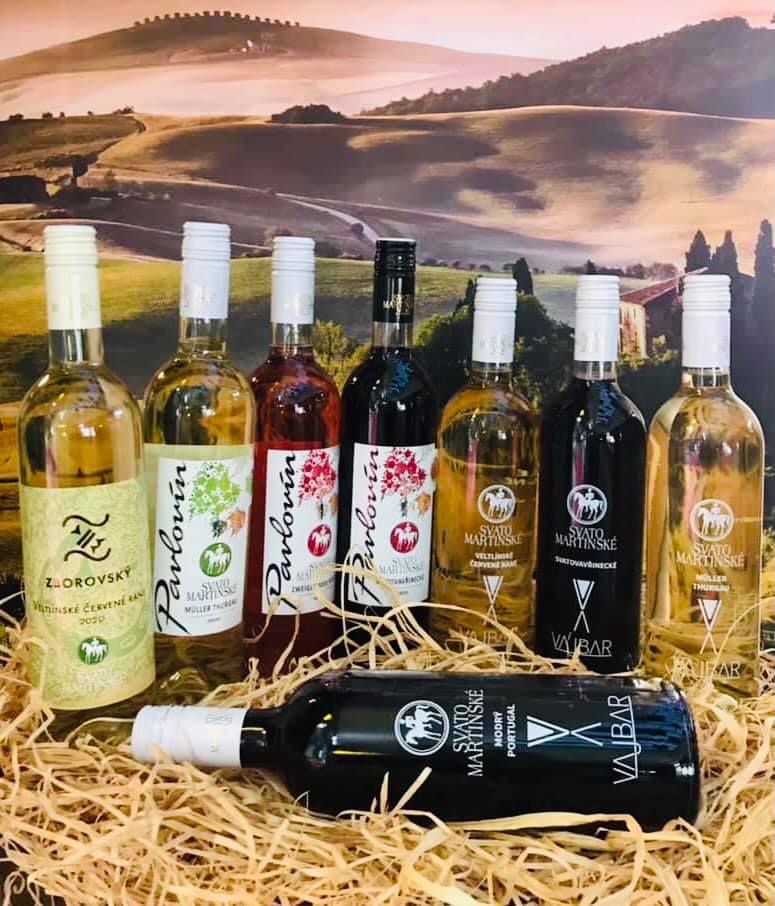 Nabídka svatomartinských vín 2020 od vinařství Pavlovín a Vajbar.